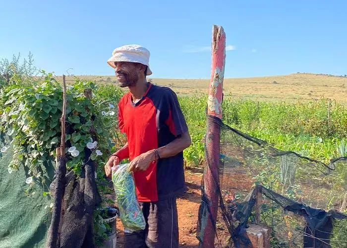 SAS uses data to empower South African Micro-Farmers and strengthen local farm systems