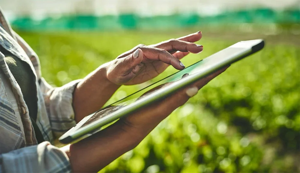 Zimbabwe's Maminda Agri-Fintech combines financing and crop monitoring for smallholder farmers