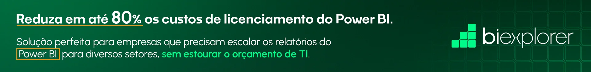 BI EXPLORER | Programa de Membros Portal ERP | Homepage - Após Materiais Gratuitos